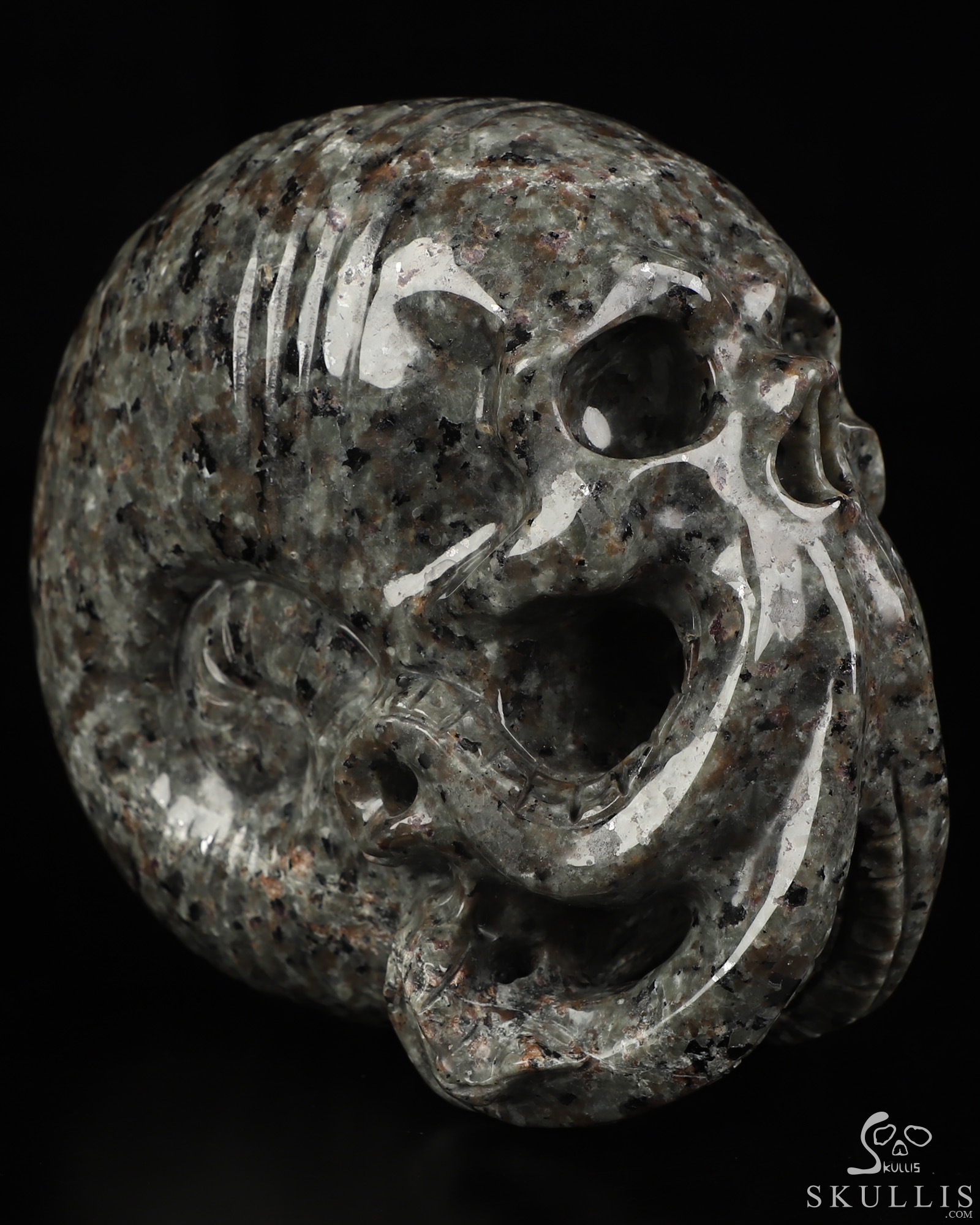 5.6" Yooperlites Hand Carved Nautiloid Cthulhu Crystal Skull Sculpture, Crystal Healing 5.6" Yooperlites Hand Carved Nautiloid Cthulhu Crystal Skull Sculpture, Crystal Healing