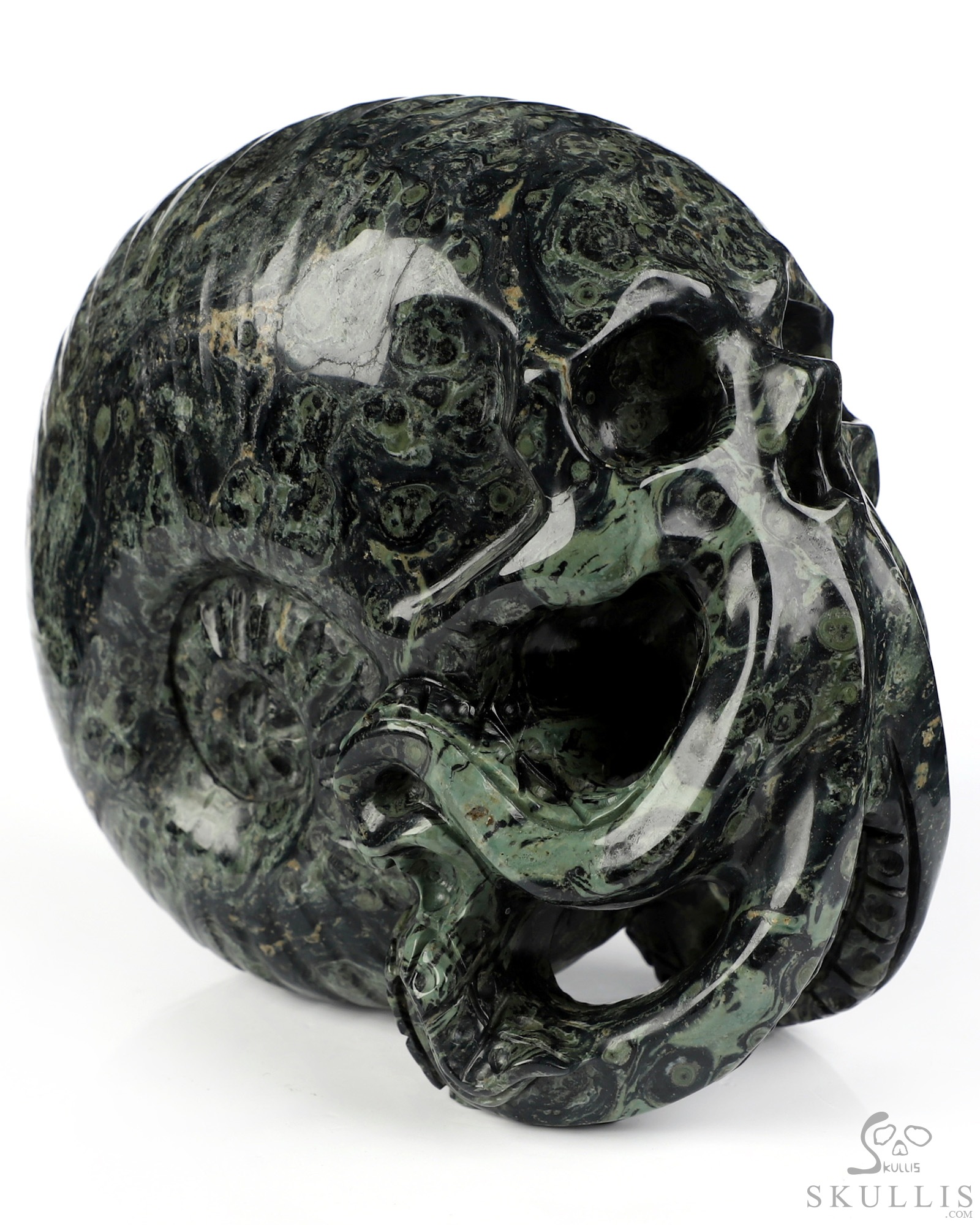 5.6" Kambaba Jasper Hand Carved Nautiloid Cthulhu Crystal Skull Sculpture, Crystal Healing 5.6" Kambaba Jasper Hand Carved Nautiloid Cthulhu Crystal Skull Sculpture, Crystal Healing
