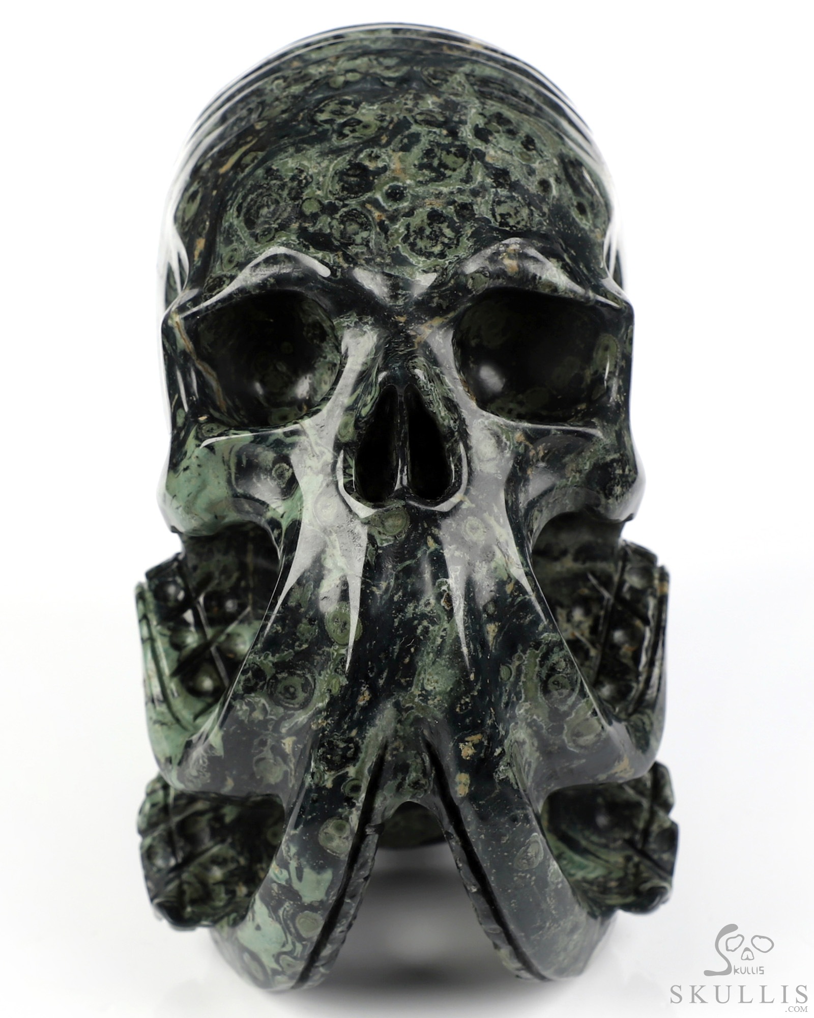 5.6" Kambaba Jasper Hand Carved Nautiloid Cthulhu Crystal Skull Sculpture, Crystal Healing 5.6" Kambaba Jasper Hand Carved Nautiloid Cthulhu Crystal Skull Sculpture, Crystal Healing
