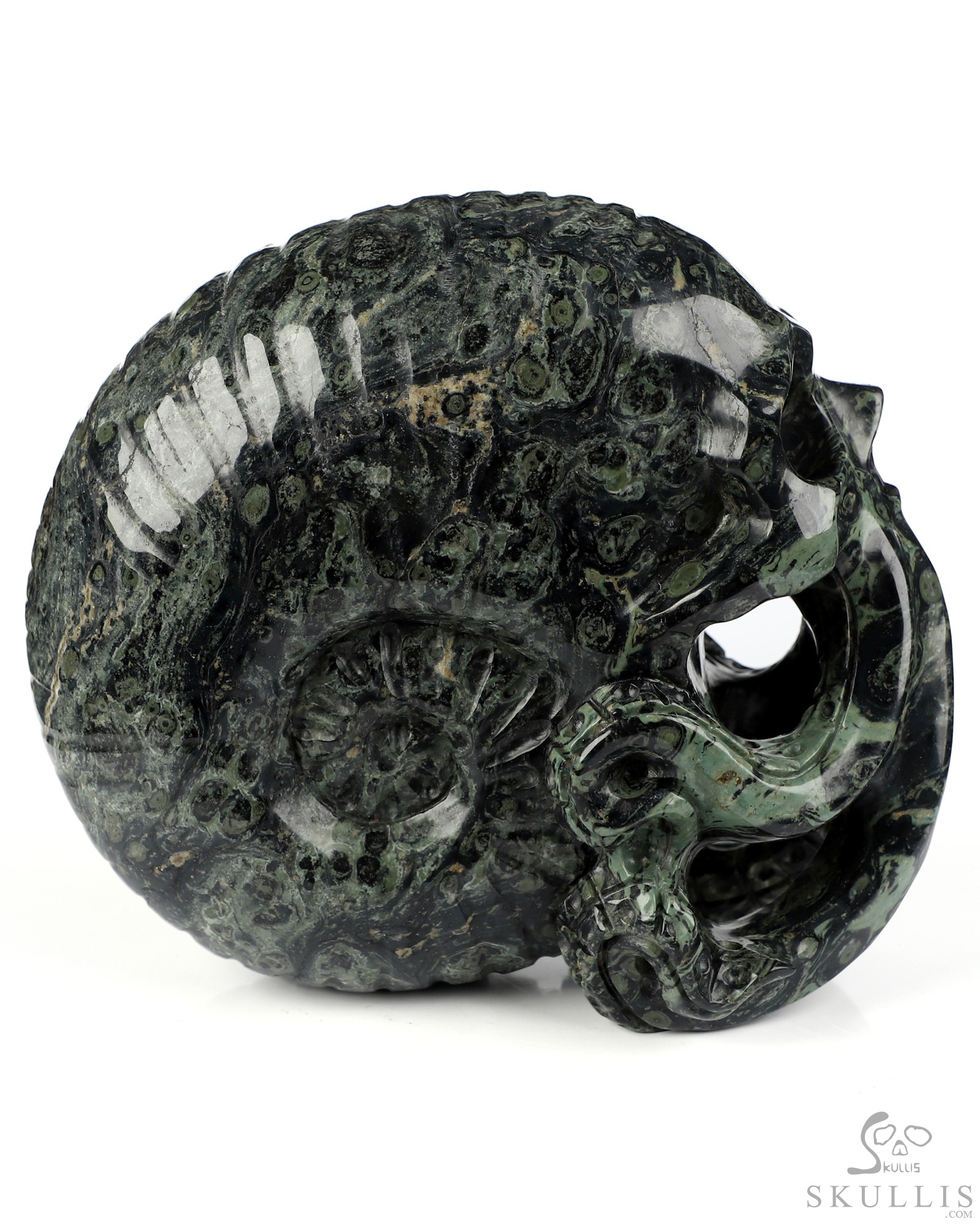 5.6" Kambaba Jasper Hand Carved Nautiloid Cthulhu Crystal Skull Sculpture, Crystal Healing 5.6" Kambaba Jasper Hand Carved Nautiloid Cthulhu Crystal Skull Sculpture, Crystal Healing