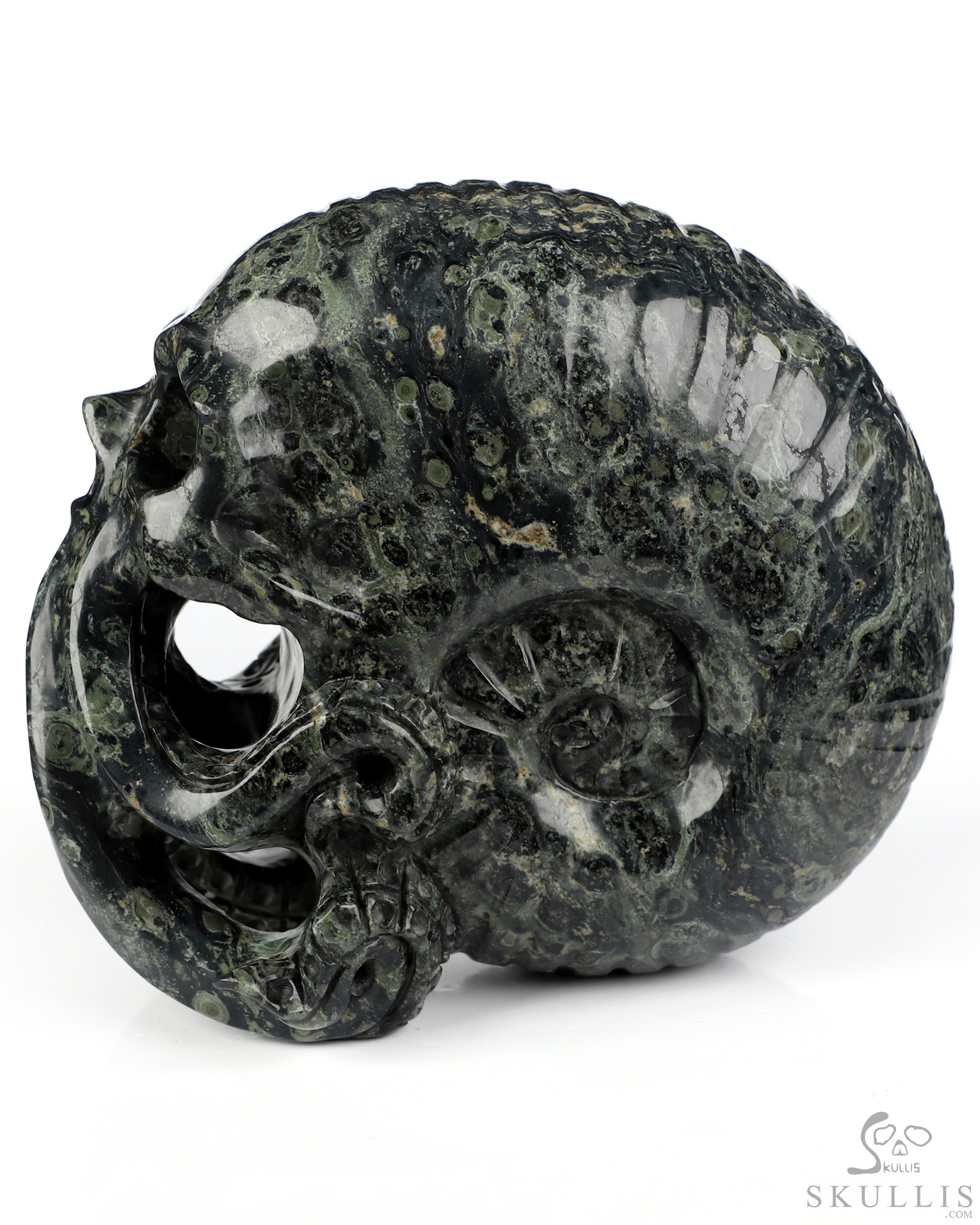 5.6" Kambaba Jasper Hand Carved Nautiloid Cthulhu Crystal Skull Sculpture, Crystal Healing 5.6" Kambaba Jasper Hand Carved Nautiloid Cthulhu Crystal Skull Sculpture, Crystal Healing
