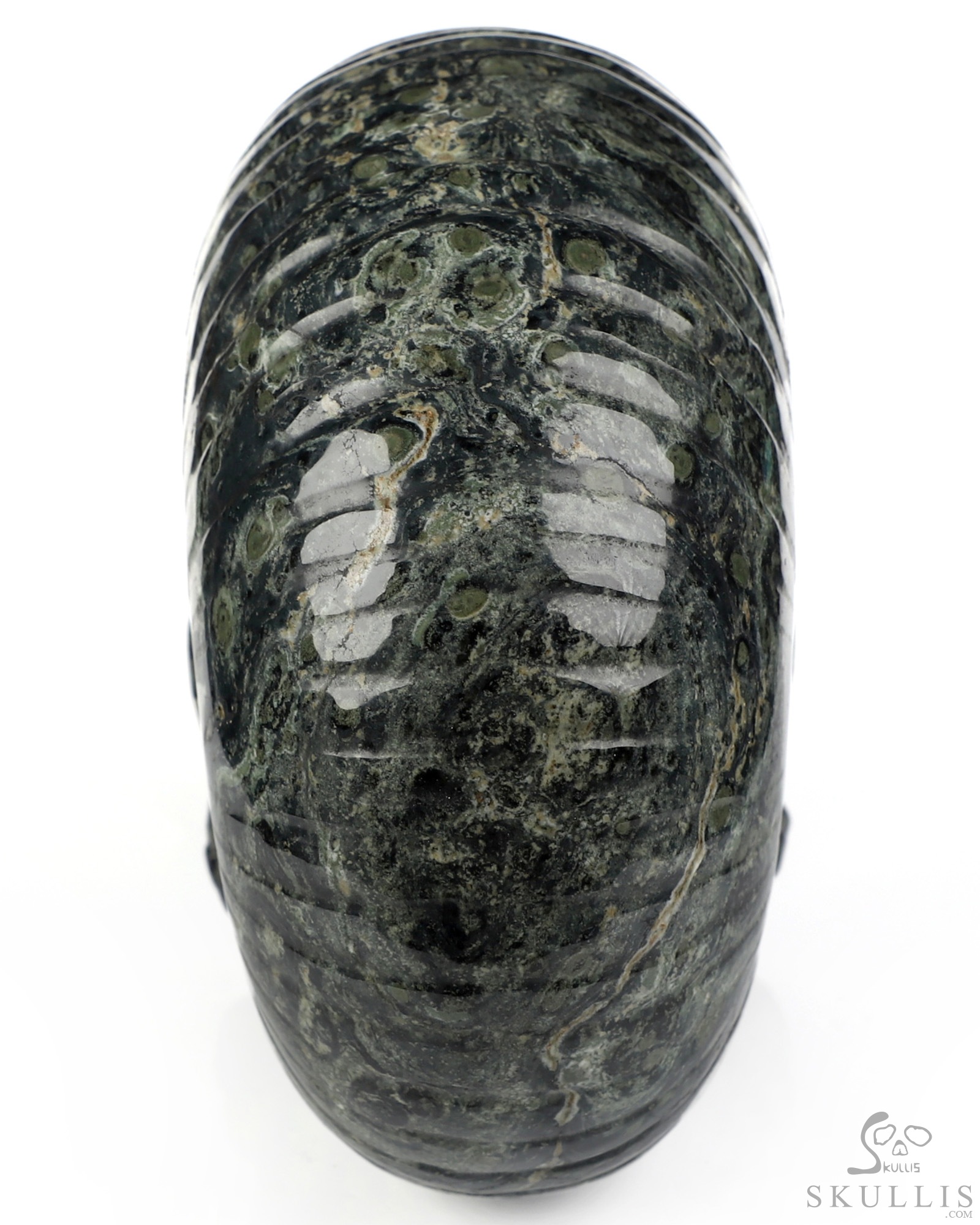 5.6" Kambaba Jasper Hand Carved Nautiloid Cthulhu Crystal Skull Sculpture, Crystal Healing 5.6" Kambaba Jasper Hand Carved Nautiloid Cthulhu Crystal Skull Sculpture, Crystal Healing