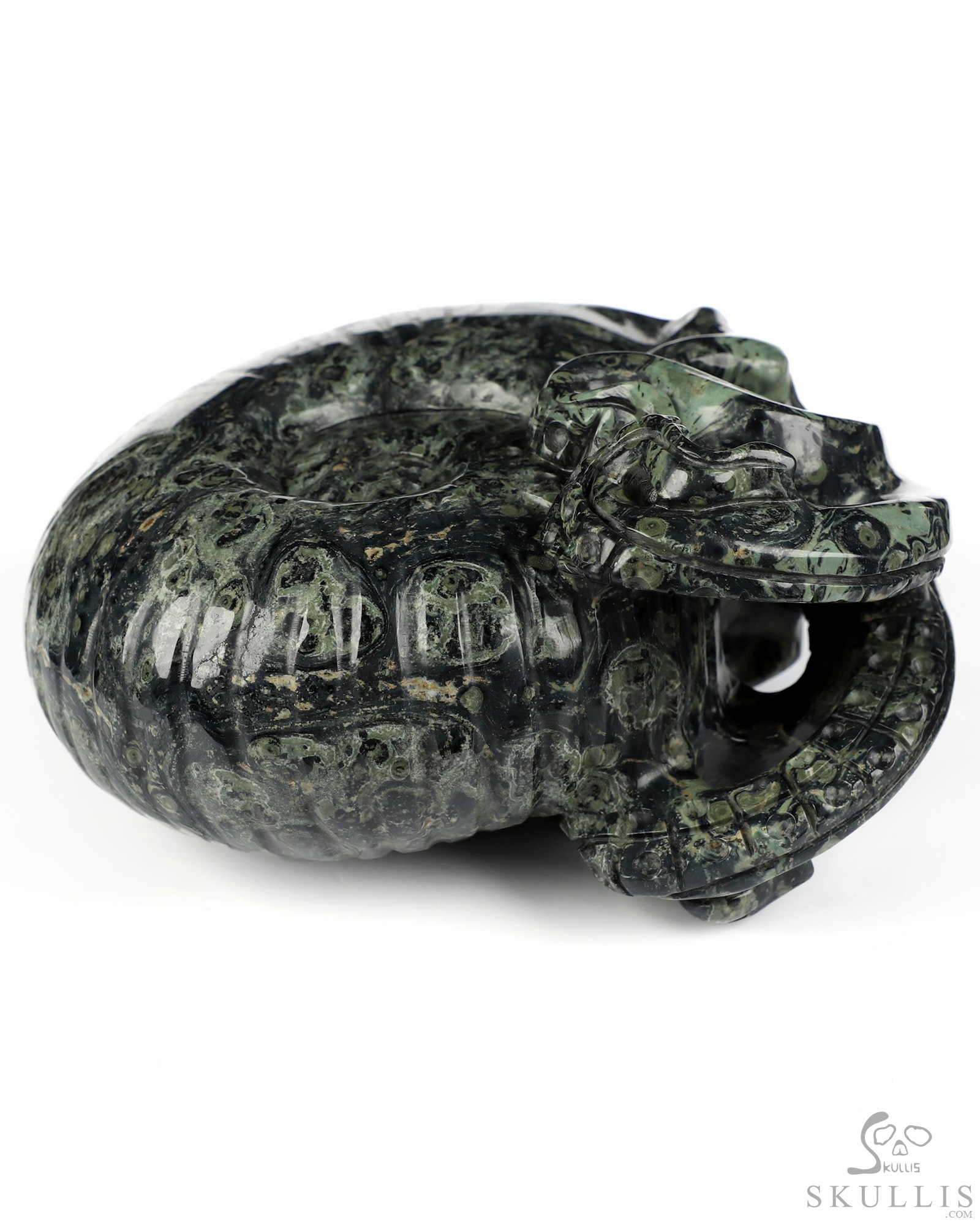 5.6" Kambaba Jasper Hand Carved Nautiloid Cthulhu Crystal Skull Sculpture, Crystal Healing 5.6" Kambaba Jasper Hand Carved Nautiloid Cthulhu Crystal Skull Sculpture, Crystal Healing