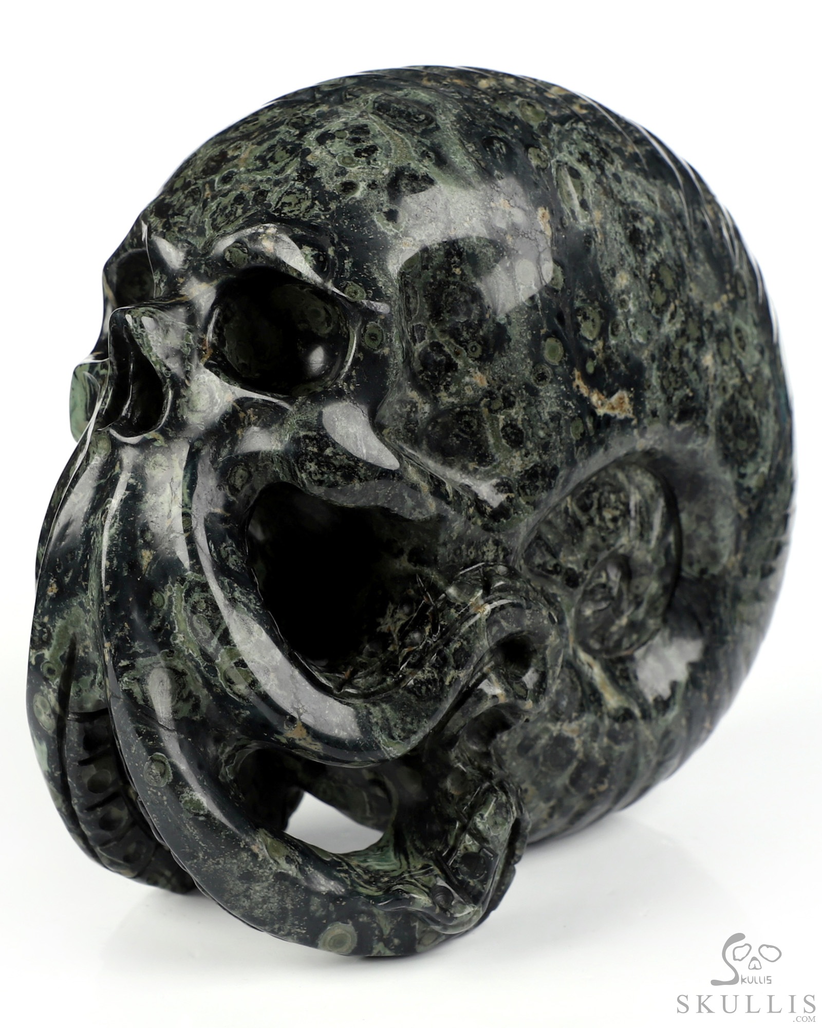 5.6" Kambaba Jasper Hand Carved Nautiloid Cthulhu Crystal Skull Sculpture, Crystal Healing 5.6" Kambaba Jasper Hand Carved Nautiloid Cthulhu Crystal Skull Sculpture, Crystal Healing