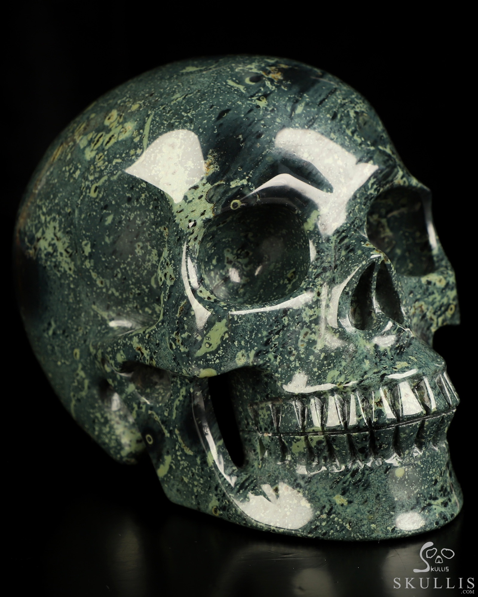 5.1" Kambaba Jasper Hand Carved Crystal Skull, Realistic, Crystal Healing 5.1" Kambaba Jasper Hand Carved Crystal Skull, Realistic, Crystal Healing