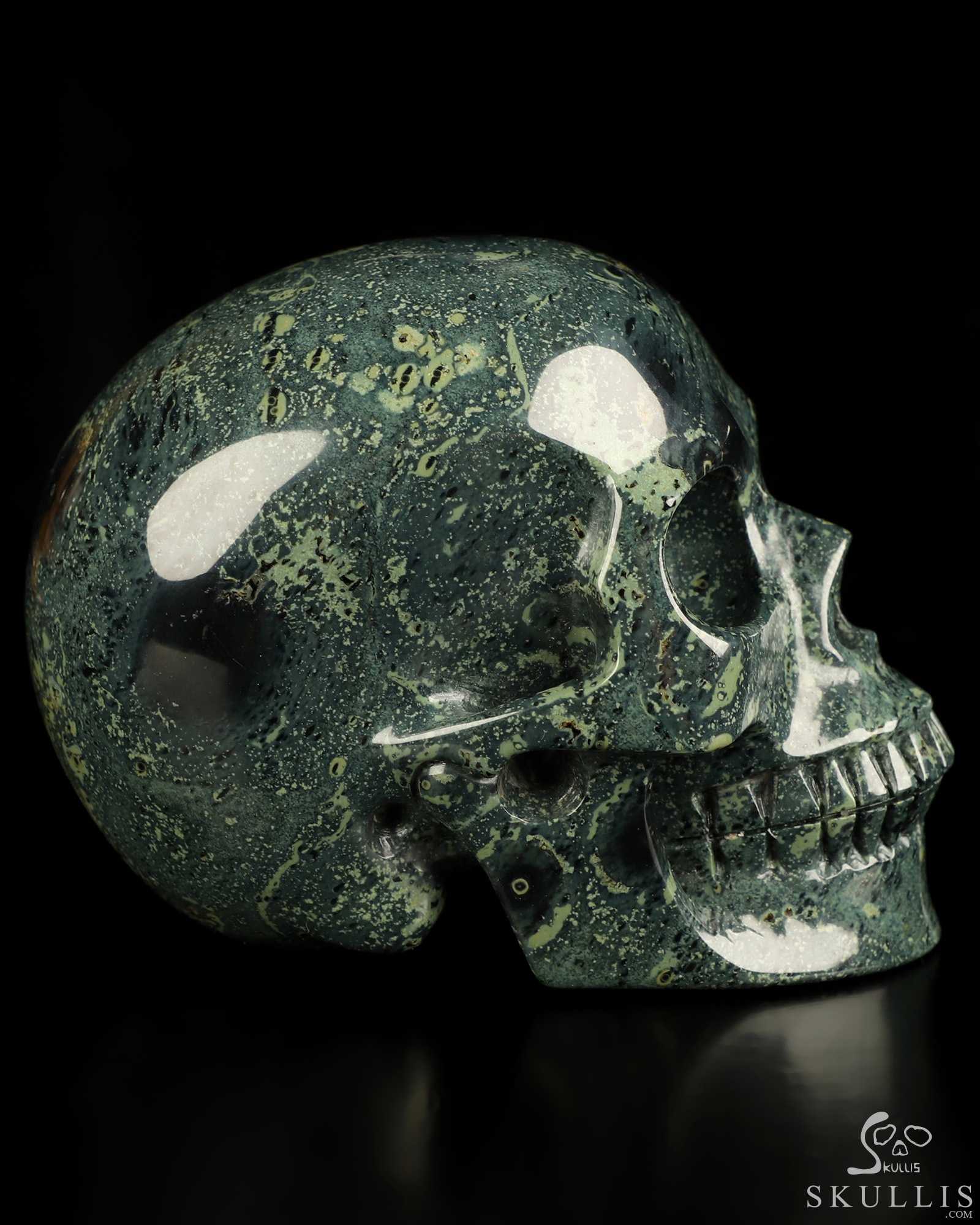 5.1" Kambaba Jasper Hand Carved Crystal Skull, Realistic, Crystal Healing 5.1" Kambaba Jasper Hand Carved Crystal Skull, Realistic, Crystal Healing