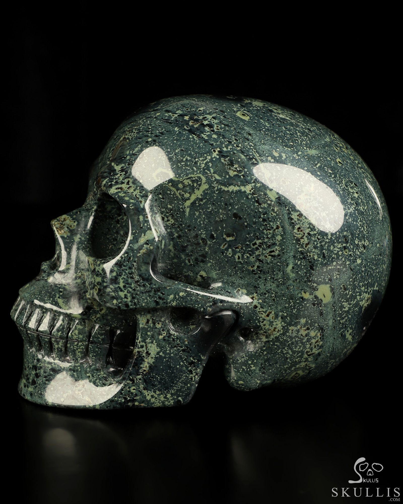 5.1" Kambaba Jasper Hand Carved Crystal Skull, Realistic, Crystal Healing 5.1" Kambaba Jasper Hand Carved Crystal Skull, Realistic, Crystal Healing