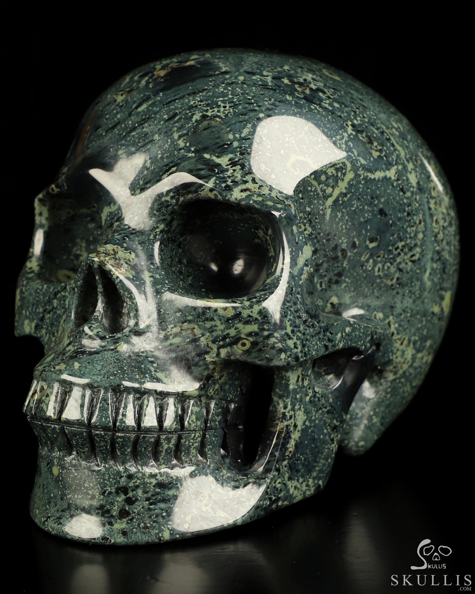 5.1" Kambaba Jasper Hand Carved Crystal Skull, Realistic, Crystal Healing 5.1" Kambaba Jasper Hand Carved Crystal Skull, Realistic, Crystal Healing
