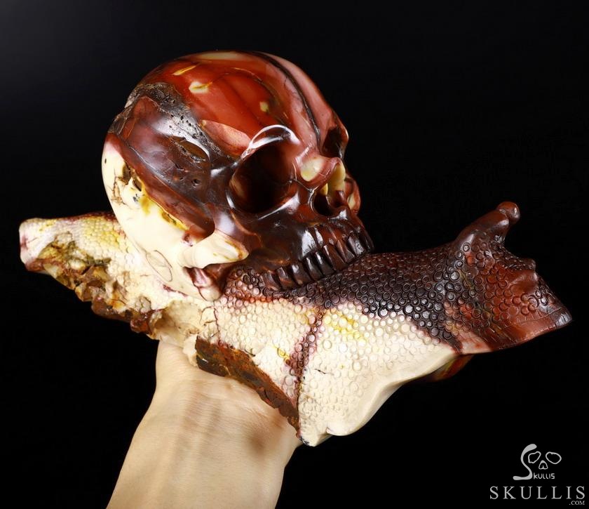 Giant 10.4" Mookaite Jasper Carved Crystal Skull With Snail Sculpture, Crystal Healing Giant 10.4" Mookaite Jasper Carved Crystal Skull With Snail Sculpture, Crystal Healing