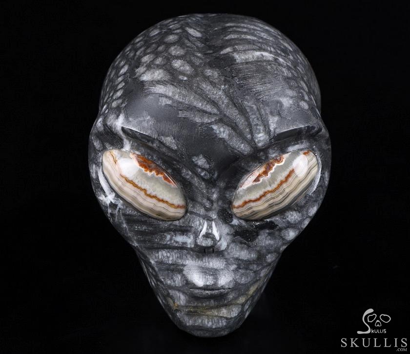 Huge 4.1" Gray Coral Fossil Star Being Female Alien Crystal Skull Companion with Red Crazy Lace Eyes, Hand Carved Gemstone Fine Art Sculpture,, Reiki Healing Stone Statue Huge 4.1" Gray Coral Fossil Star Being Female Alien Crystal Skull Companion with Red Crazy Lace Eyes, Hand Carved Gemstone Fine Art Sculpture,, Reiki Healing Stone Statue