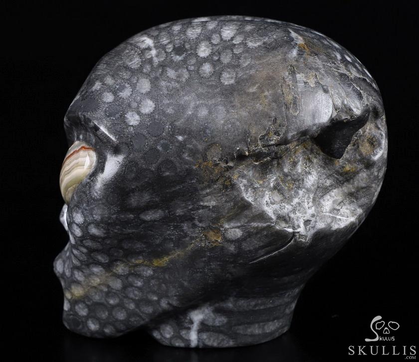 Huge 4.1" Gray Coral Fossil Star Being Female Alien Crystal Skull Companion with Red Crazy Lace Eyes, Hand Carved Gemstone Fine Art Sculpture,, Reiki Healing Stone Statue Huge 4.1" Gray Coral Fossil Star Being Female Alien Crystal Skull Companion with Red Crazy Lace Eyes, Hand Carved Gemstone Fine Art Sculpture,, Reiki Healing Stone Statue