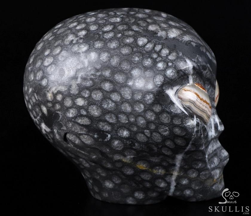 Huge 4.1" Gray Coral Fossil Star Being Female Alien Crystal Skull Companion with Red Crazy Lace Eyes, Hand Carved Gemstone Fine Art Sculpture,, Reiki Healing Stone Statue Huge 4.1" Gray Coral Fossil Star Being Female Alien Crystal Skull Companion with Red Crazy Lace Eyes, Hand Carved Gemstone Fine Art Sculpture,, Reiki Healing Stone Statue