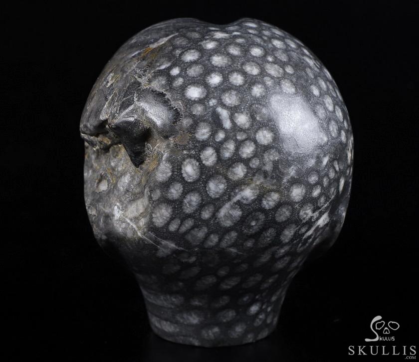 Huge 4.1" Gray Coral Fossil Star Being Female Alien Crystal Skull Companion with Red Crazy Lace Eyes, Hand Carved Gemstone Fine Art Sculpture,, Reiki Healing Stone Statue Huge 4.1" Gray Coral Fossil Star Being Female Alien Crystal Skull Companion with Red Crazy Lace Eyes, Hand Carved Gemstone Fine Art Sculpture,, Reiki Healing Stone Statue