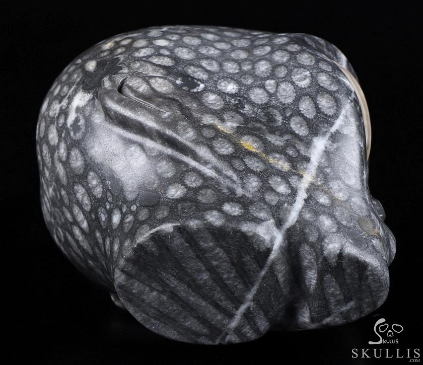 Huge 4.1" Gray Coral Fossil Star Being Female Alien Crystal Skull Companion with Red Crazy Lace Eyes, Hand Carved Gemstone Fine Art Sculpture,, Reiki Healing Stone Statue Huge 4.1" Gray Coral Fossil Star Being Female Alien Crystal Skull Companion with Red Crazy Lace Eyes, Hand Carved Gemstone Fine Art Sculpture,, Reiki Healing Stone Statue