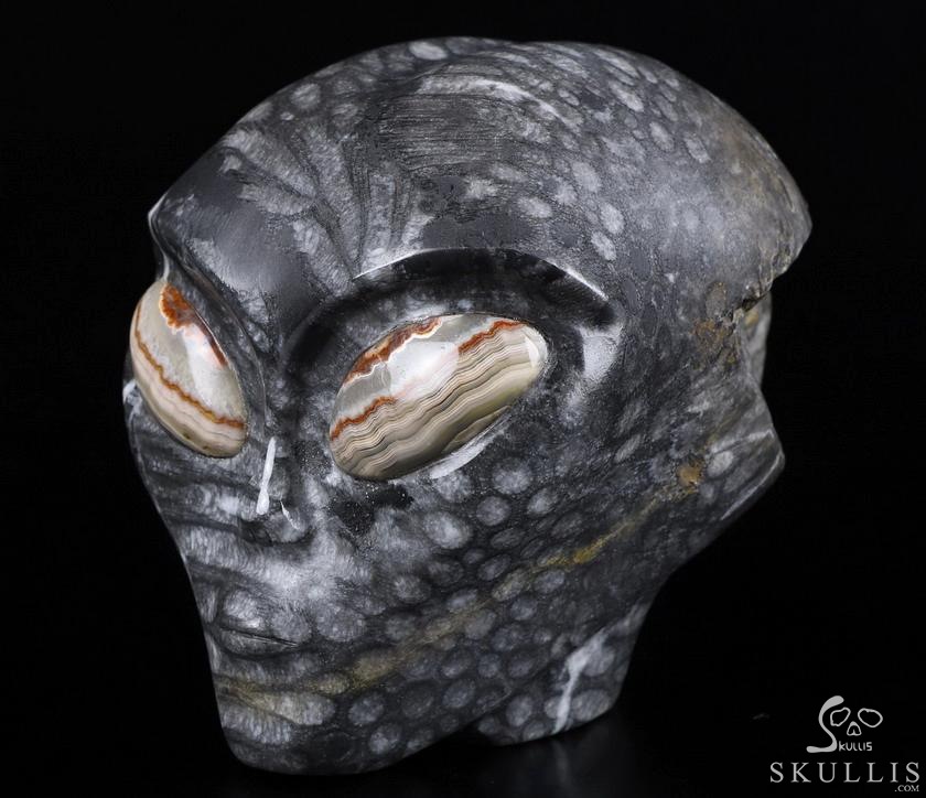 Huge 4.1" Gray Coral Fossil Star Being Female Alien Crystal Skull Companion with Red Crazy Lace Eyes, Hand Carved Gemstone Fine Art Sculpture,, Reiki Healing Stone Statue Huge 4.1" Gray Coral Fossil Star Being Female Alien Crystal Skull Companion with Red Crazy Lace Eyes, Hand Carved Gemstone Fine Art Sculpture,, Reiki Healing Stone Statue