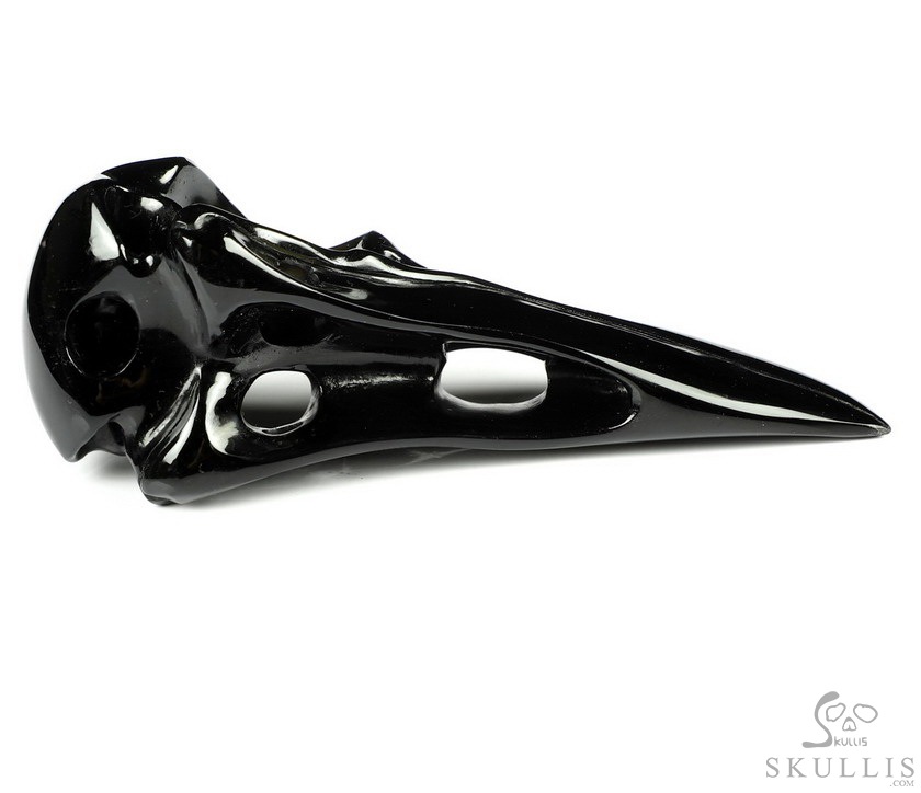 Double Skull, 3.9" Black Obsidian Carved Crystal Raven Skull, Crystal Healing Double Skull, 3.9" Black Obsidian Carved Crystal Raven Skull, Crystal Healing