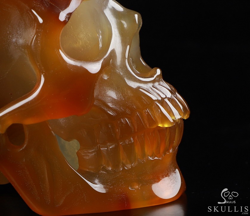 Gemstone 6.9" Carnelian Carved Crystal Skull with Egale, Crystal Healing Gemstone 6.9" Carnelian Carved Crystal Skull with Egale, Crystal Healing