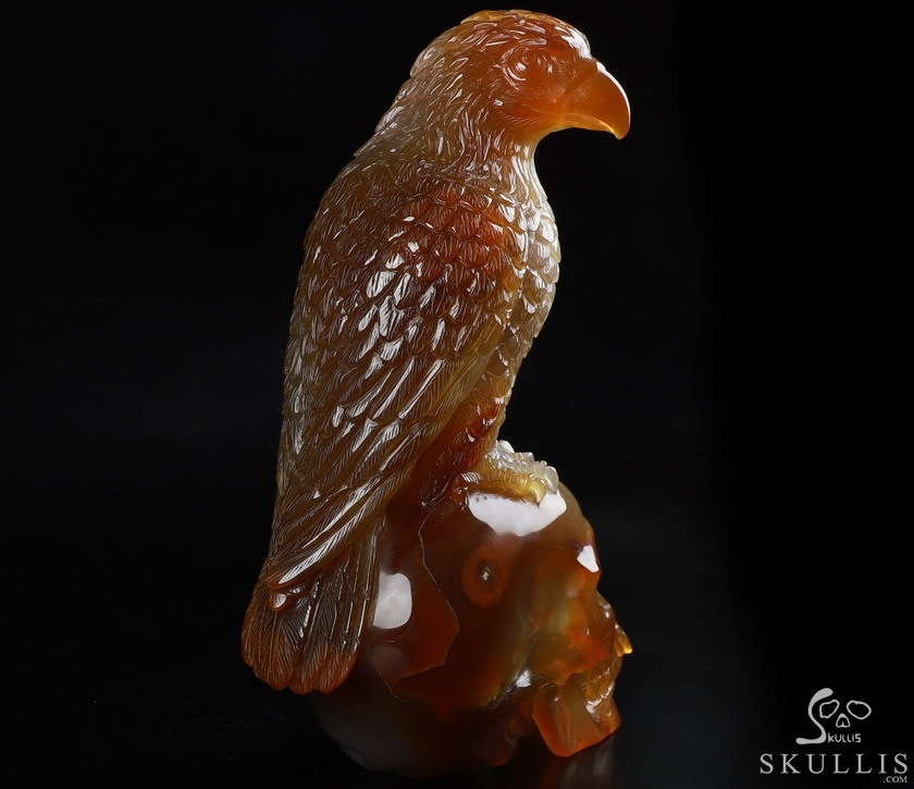 Gemstone 6.9" Carnelian Carved Crystal Skull with Egale, Crystal Healing Gemstone 6.9" Carnelian Carved Crystal Skull with Egale, Crystal Healing