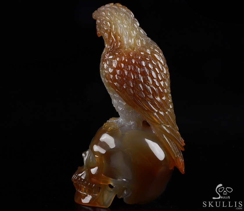 Gemstone 6.9" Carnelian Carved Crystal Skull with Egale, Crystal Healing Gemstone 6.9" Carnelian Carved Crystal Skull with Egale, Crystal Healing