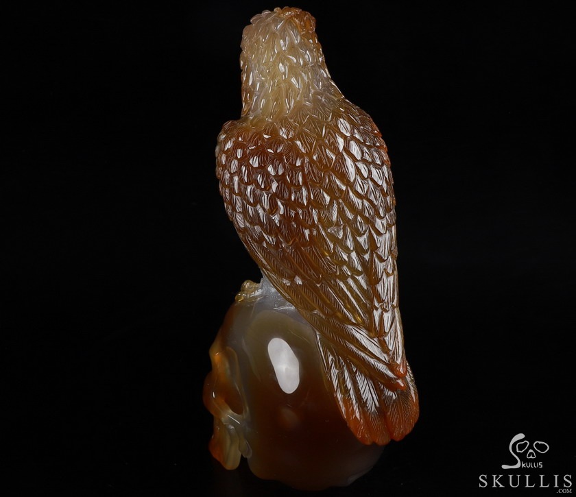 Gemstone 6.9" Carnelian Carved Crystal Skull with Egale, Crystal Healing Gemstone 6.9" Carnelian Carved Crystal Skull with Egale, Crystal Healing
