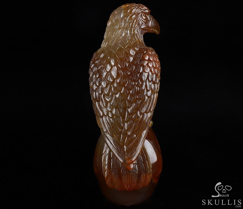 Gemstone 6.9" Carnelian Carved Crystal Skull with Egale, Crystal Healing Gemstone 6.9" Carnelian Carved Crystal Skull with Egale, Crystal Healing