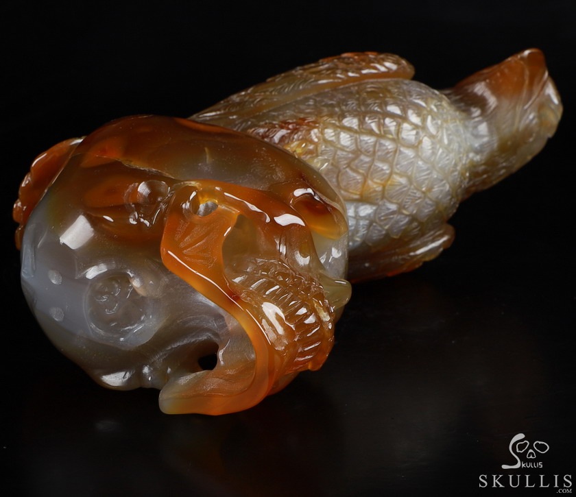Gemstone 6.9" Carnelian Carved Crystal Skull with Egale, Crystal Healing Gemstone 6.9" Carnelian Carved Crystal Skull with Egale, Crystal Healing