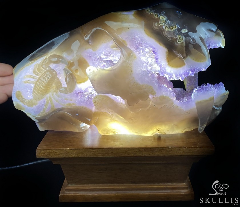 8.0" Agate Amethyst Geode Carved Smilodon SABER-TOOTHED Tiger/Cat Skull & Scorpion 8.0" Agate Amethyst Geode Carved Smilodon SABER-TOOTHED Tiger/Cat Skull & Scorpion