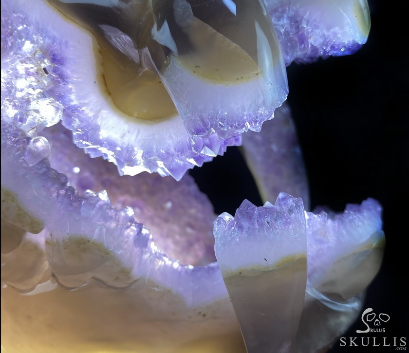 8.0" Agate Amethyst Geode Carved Smilodon SABER-TOOTHED Tiger/Cat Skull & Scorpion 8.0" Agate Amethyst Geode Carved Smilodon SABER-TOOTHED Tiger/Cat Skull & Scorpion