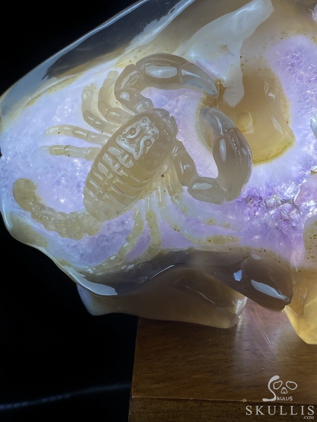 8.0" Agate Amethyst Geode Carved Smilodon SABER-TOOTHED Tiger/Cat Skull & Scorpion 8.0" Agate Amethyst Geode Carved Smilodon SABER-TOOTHED Tiger/Cat Skull & Scorpion