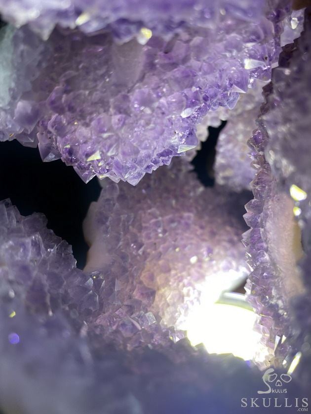 8.0" Agate Amethyst Geode Carved Smilodon SABER-TOOTHED Tiger/Cat Skull & Scorpion 8.0" Agate Amethyst Geode Carved Smilodon SABER-TOOTHED Tiger/Cat Skull & Scorpion
