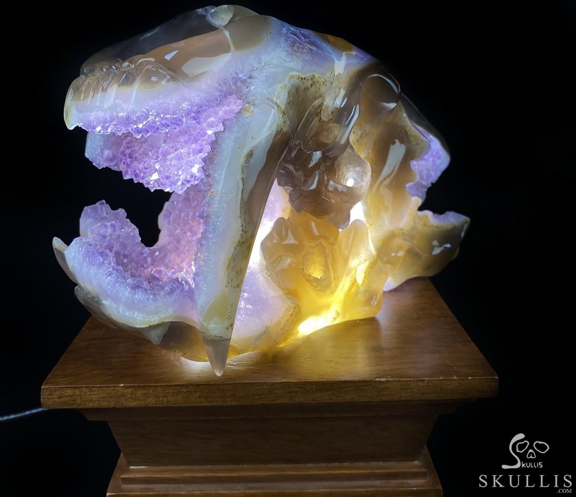 8.0" Agate Amethyst Geode Carved Smilodon SABER-TOOTHED Tiger/Cat Skull & Scorpion 8.0" Agate Amethyst Geode Carved Smilodon SABER-TOOTHED Tiger/Cat Skull & Scorpion