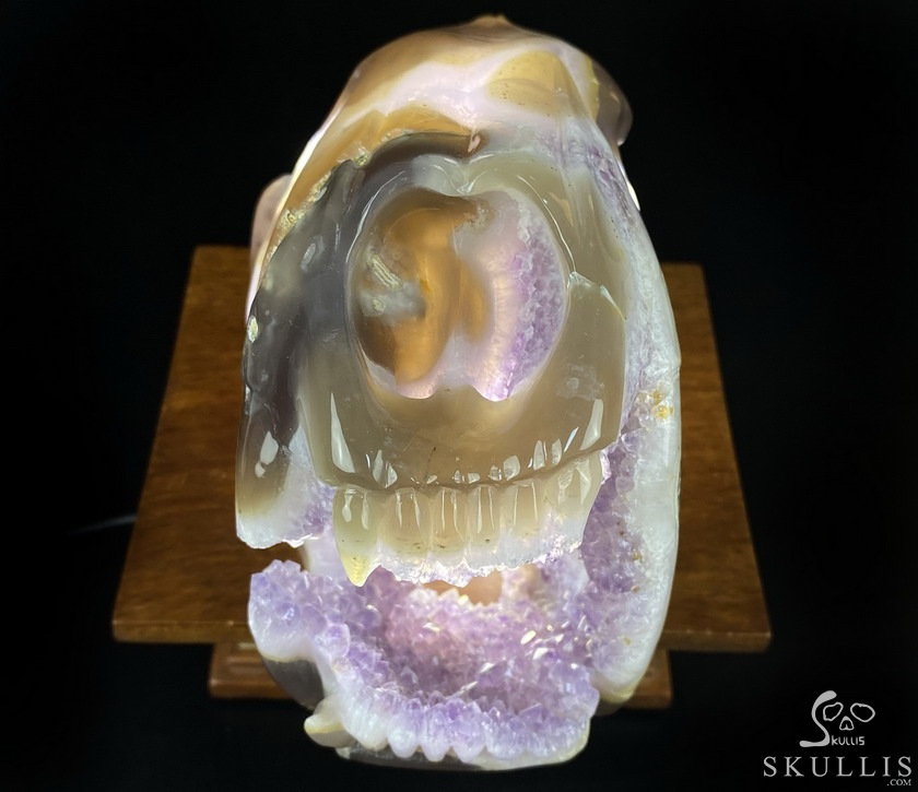 8.0" Agate Amethyst Geode Carved Smilodon SABER-TOOTHED Tiger/Cat Skull & Scorpion 8.0" Agate Amethyst Geode Carved Smilodon SABER-TOOTHED Tiger/Cat Skull & Scorpion