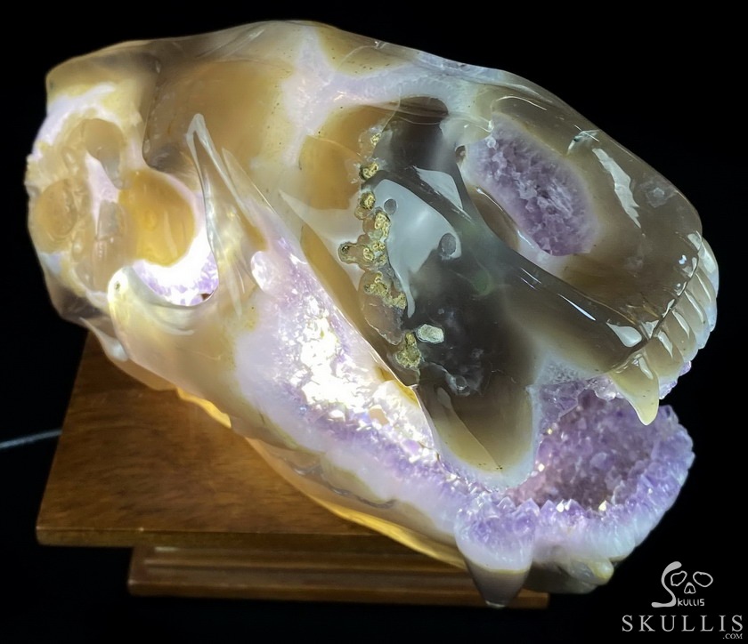 8.0" Agate Amethyst Geode Carved Smilodon SABER-TOOTHED Tiger/Cat Skull & Scorpion 8.0" Agate Amethyst Geode Carved Smilodon SABER-TOOTHED Tiger/Cat Skull & Scorpion