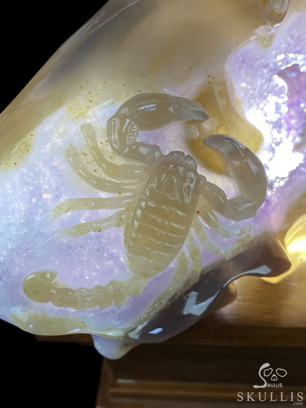 8.0" Agate Amethyst Geode Carved Smilodon SABER-TOOTHED Tiger/Cat Skull & Scorpion 8.0" Agate Amethyst Geode Carved Smilodon SABER-TOOTHED Tiger/Cat Skull & Scorpion