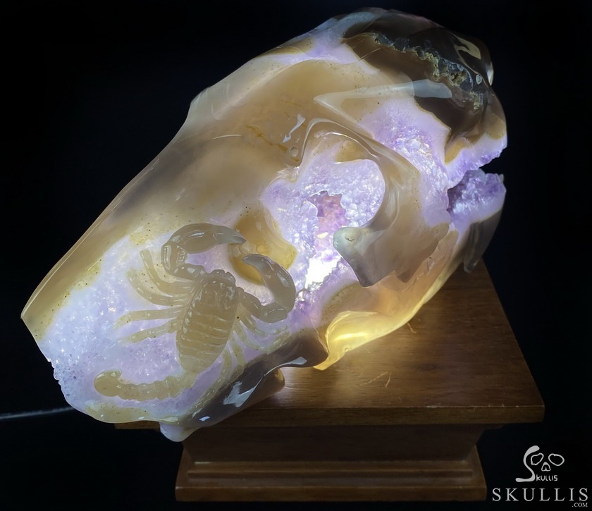 8.0" Agate Amethyst Geode Carved Smilodon SABER-TOOTHED Tiger/Cat Skull & Scorpion 8.0" Agate Amethyst Geode Carved Smilodon SABER-TOOTHED Tiger/Cat Skull & Scorpion
