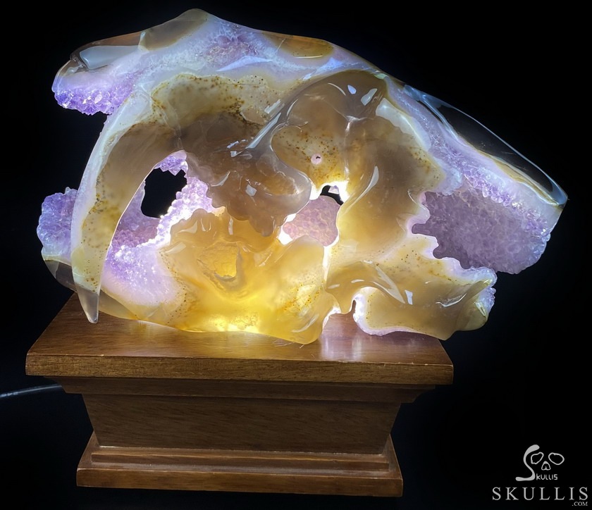 8.0" Agate Amethyst Geode Carved Smilodon SABER-TOOTHED Tiger/Cat Skull & Scorpion 8.0" Agate Amethyst Geode Carved Smilodon SABER-TOOTHED Tiger/Cat Skull & Scorpion