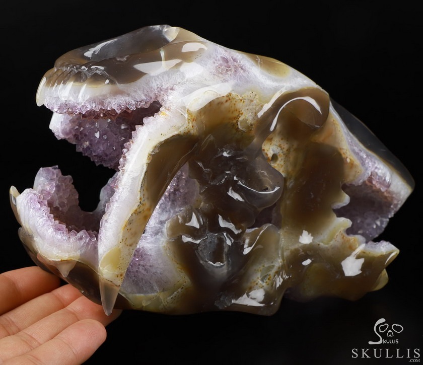 8.0" Agate Amethyst Geode Carved Smilodon SABER-TOOTHED Tiger/Cat Skull & Scorpion 8.0" Agate Amethyst Geode Carved Smilodon SABER-TOOTHED Tiger/Cat Skull & Scorpion