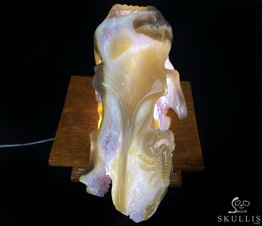 8.0" Agate Amethyst Geode Carved Smilodon SABER-TOOTHED Tiger/Cat Skull & Scorpion 8.0" Agate Amethyst Geode Carved Smilodon SABER-TOOTHED Tiger/Cat Skull & Scorpion