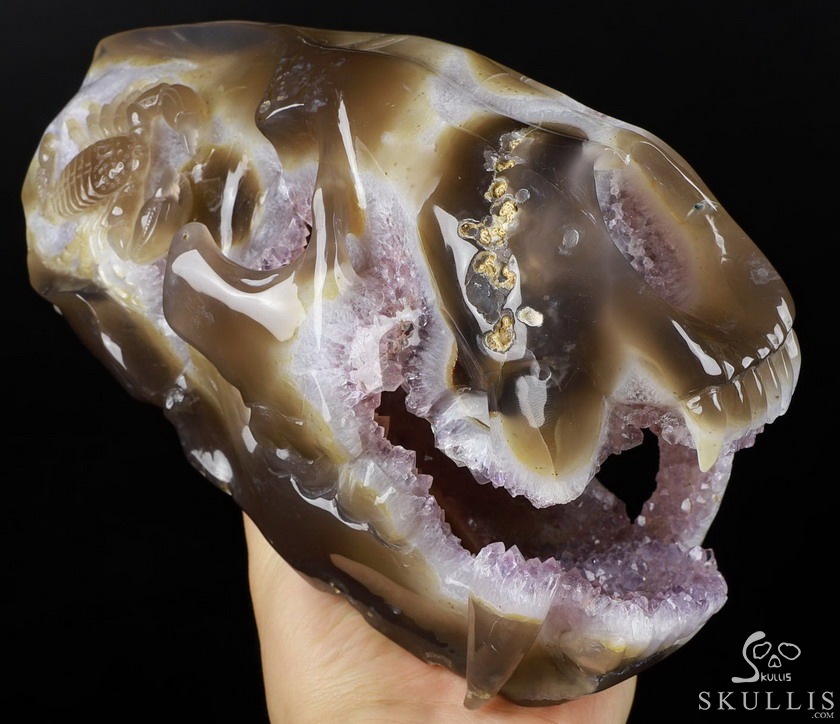 8.0" Agate Amethyst Geode Carved Smilodon SABER-TOOTHED Tiger/Cat Skull & Scorpion 8.0" Agate Amethyst Geode Carved Smilodon SABER-TOOTHED Tiger/Cat Skull & Scorpion