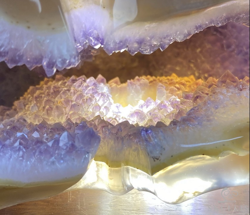 8.0" Agate Amethyst Geode Carved Smilodon SABER-TOOTHED Tiger/Cat Skull & Scorpion 8.0" Agate Amethyst Geode Carved Smilodon SABER-TOOTHED Tiger/Cat Skull & Scorpion