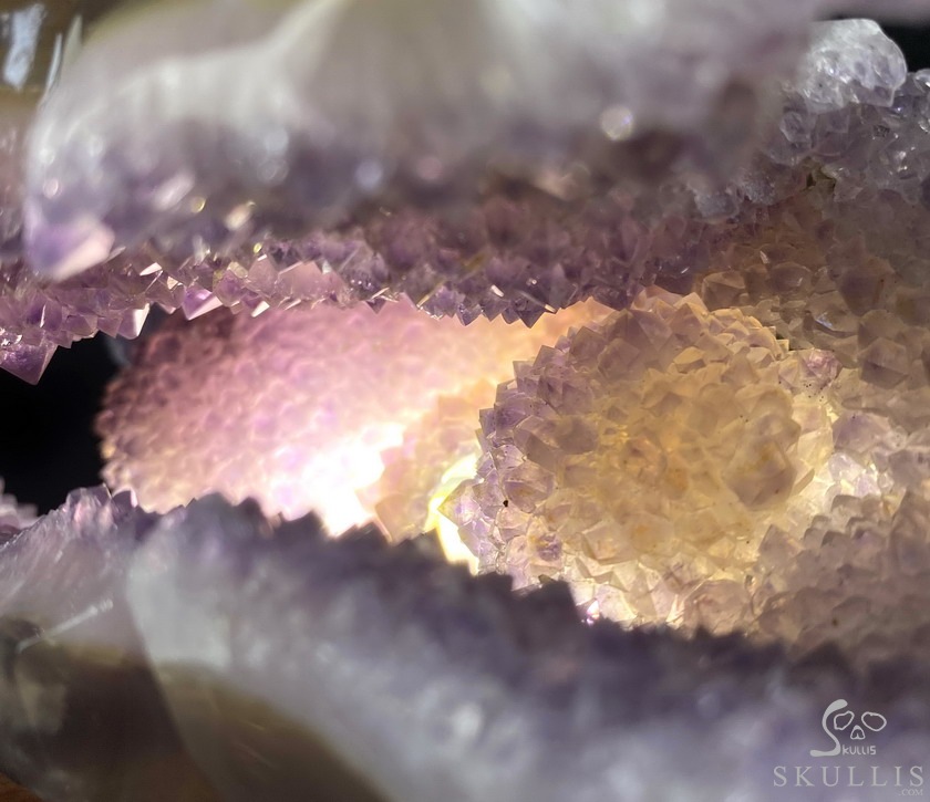 8.0" Agate Amethyst Geode Carved Smilodon SABER-TOOTHED Tiger/Cat Skull & Scorpion 8.0" Agate Amethyst Geode Carved Smilodon SABER-TOOTHED Tiger/Cat Skull & Scorpion