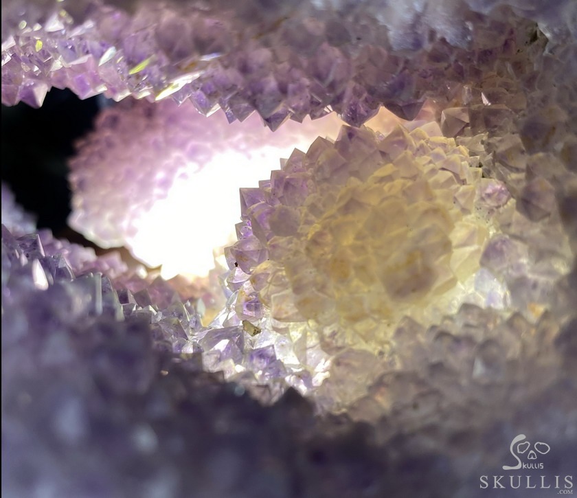 8.0" Agate Amethyst Geode Carved Smilodon SABER-TOOTHED Tiger/Cat Skull & Scorpion 8.0" Agate Amethyst Geode Carved Smilodon SABER-TOOTHED Tiger/Cat Skull & Scorpion