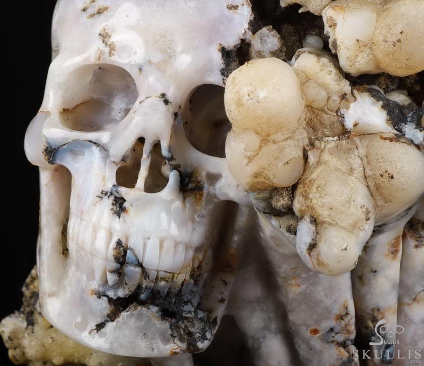 9.3" Sakura Agate Carved Crystal SkullS Crystal Healing 9.3" Sakura Agate Carved Crystal SkullS Crystal Healing