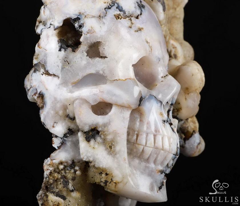 9.3" Sakura Agate Carved Crystal SkullS Crystal Healing 9.3" Sakura Agate Carved Crystal SkullS Crystal Healing