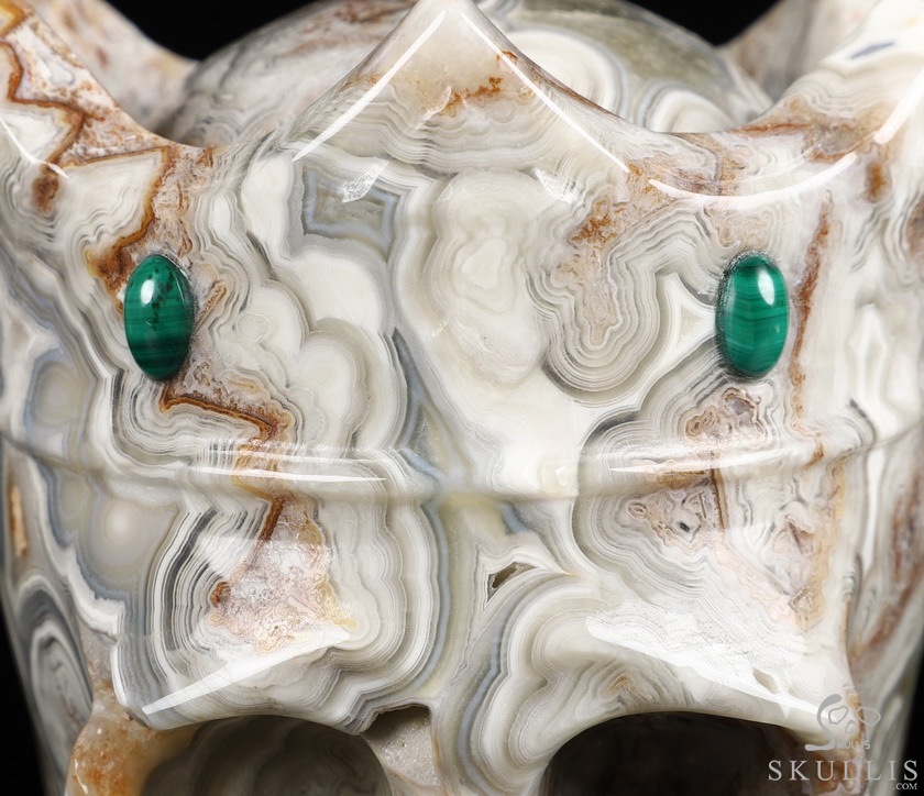 5.2" Crazy Lace Agate Carved Crystal Crown Skull & Malachite、Lapis Lazuli、Red Jasper Inlay 5.2" Crazy Lace Agate Carved Crystal Crown Skull & Malachite、Lapis Lazuli、Red Jasper Inlay
