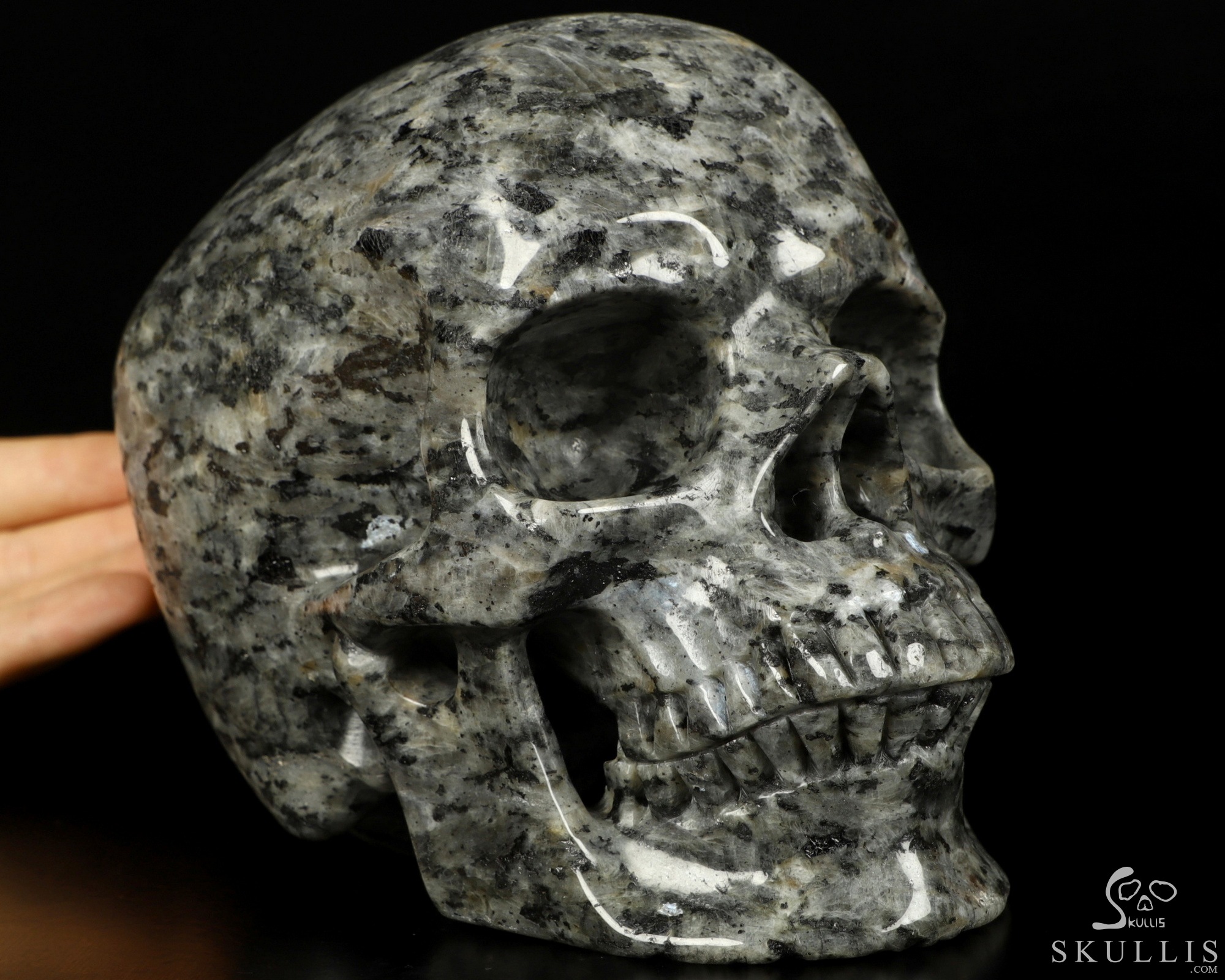 7.0" larvikite Carved Crystal Skull,Super Realistic, Crystal Healing 7.0" larvikite Carved Crystal Skull,Super Realistic, Crystal Healing