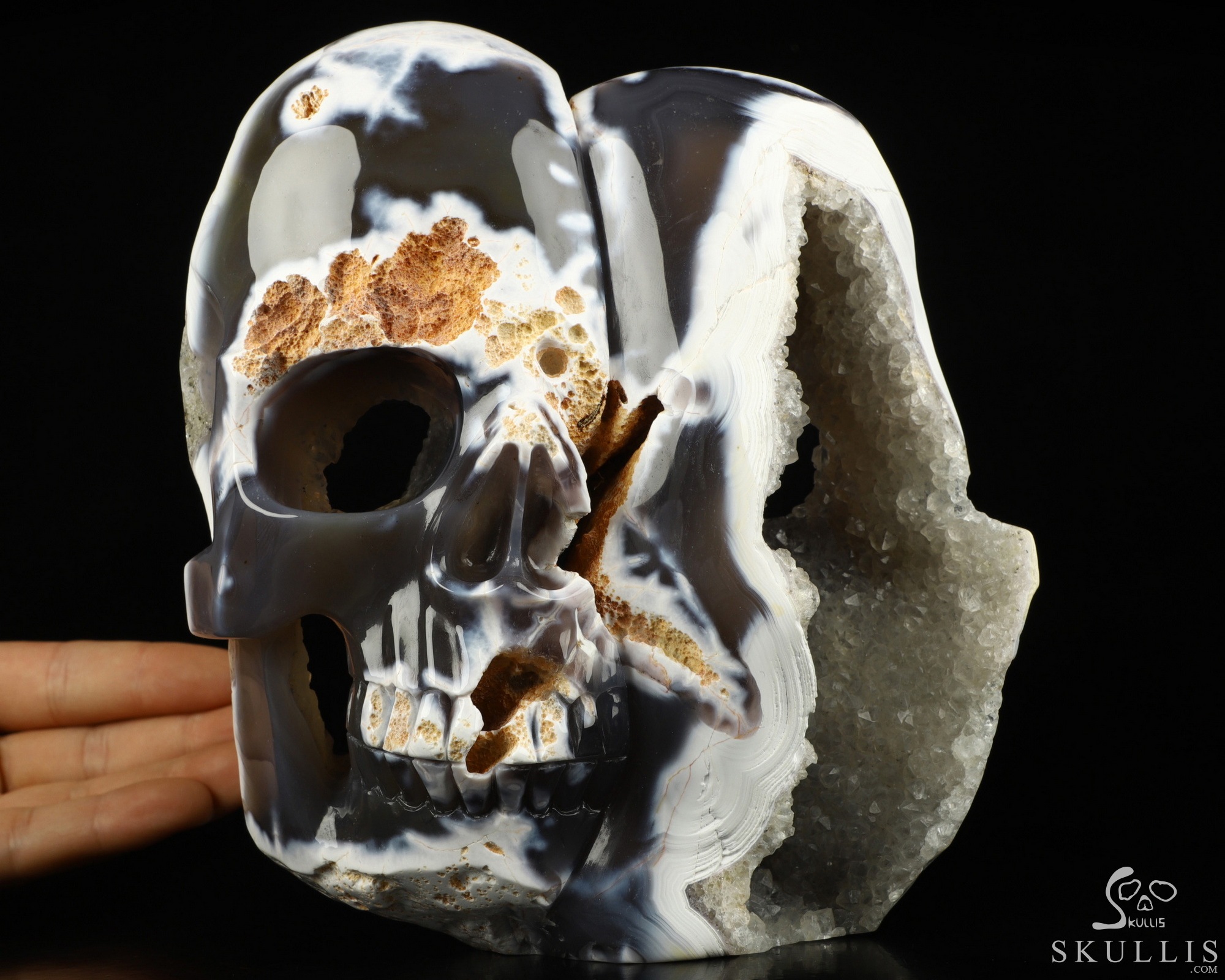 Two Faces 7.0" Orca agate Geode Carved Crystal Skull Sculpture, Crystal Healing Two Faces 7.0" Orca agate Geode Carved Crystal Skull Sculpture, Crystal Healing