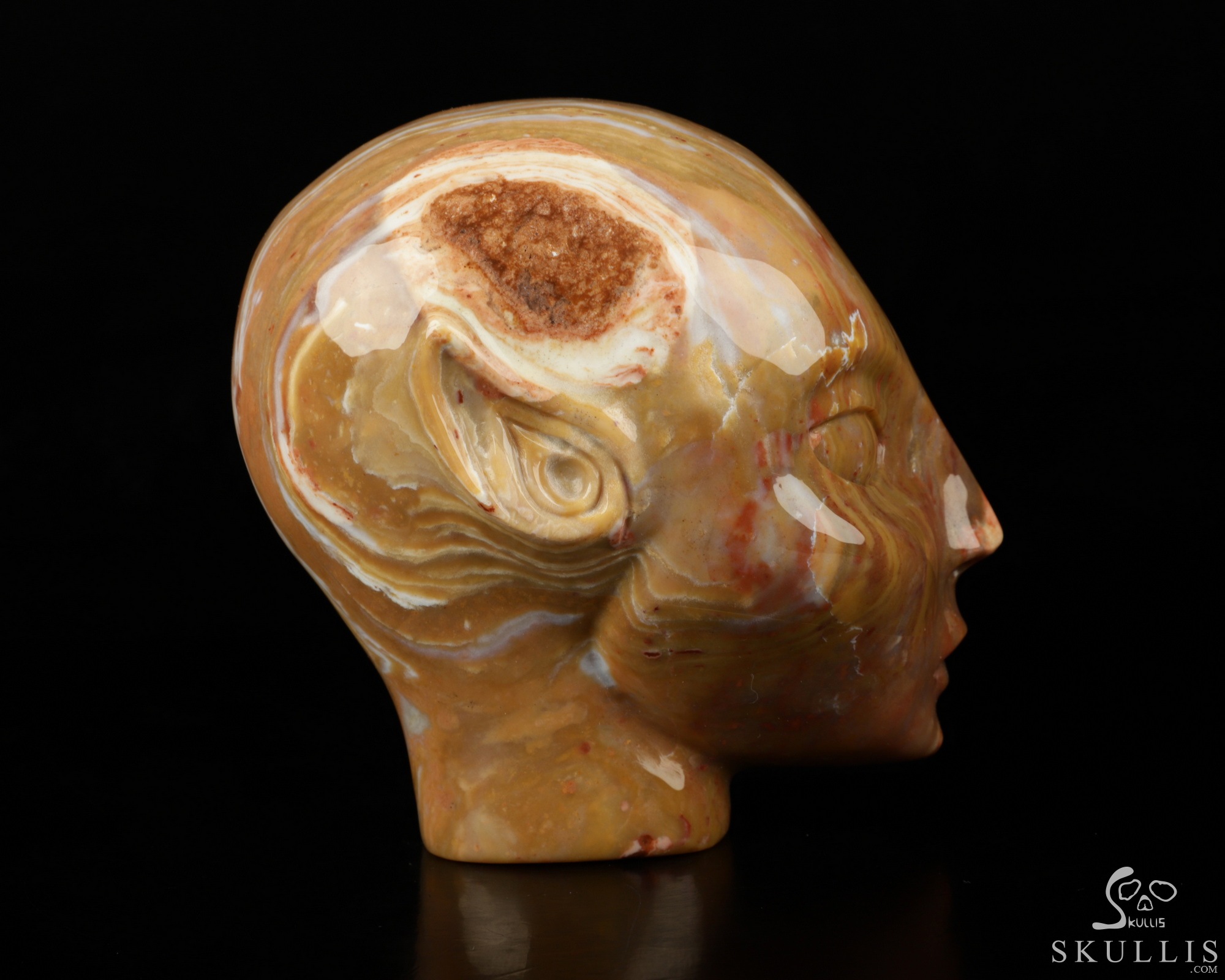 4.2" Petrified Wood Carved Fairy Elf Alien Crystal Skull Companion Sculpture, Crystal Healing Crystal Skull 4.2" Petrified Wood Carved Fairy Elf Alien Crystal Skull Companion Sculpture, Crystal Healing Crystal Skull
