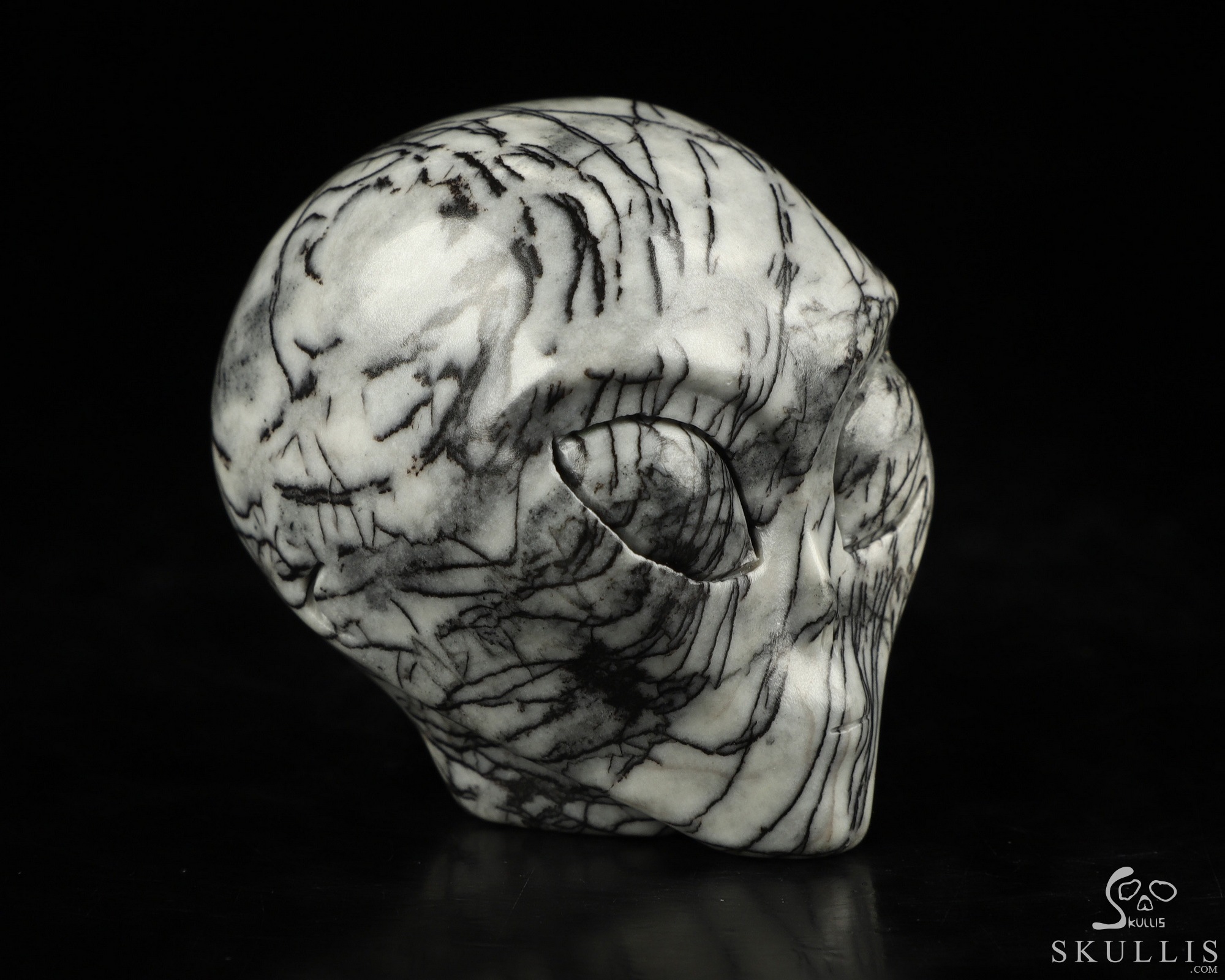 1.8" Black Network Jasper Crystal Skull Companion Star Being Female Alien Reiki Healing Stone Statue 1.8" Black Network Jasper Crystal Skull Companion Star Being Female Alien Reiki Healing Stone Statue