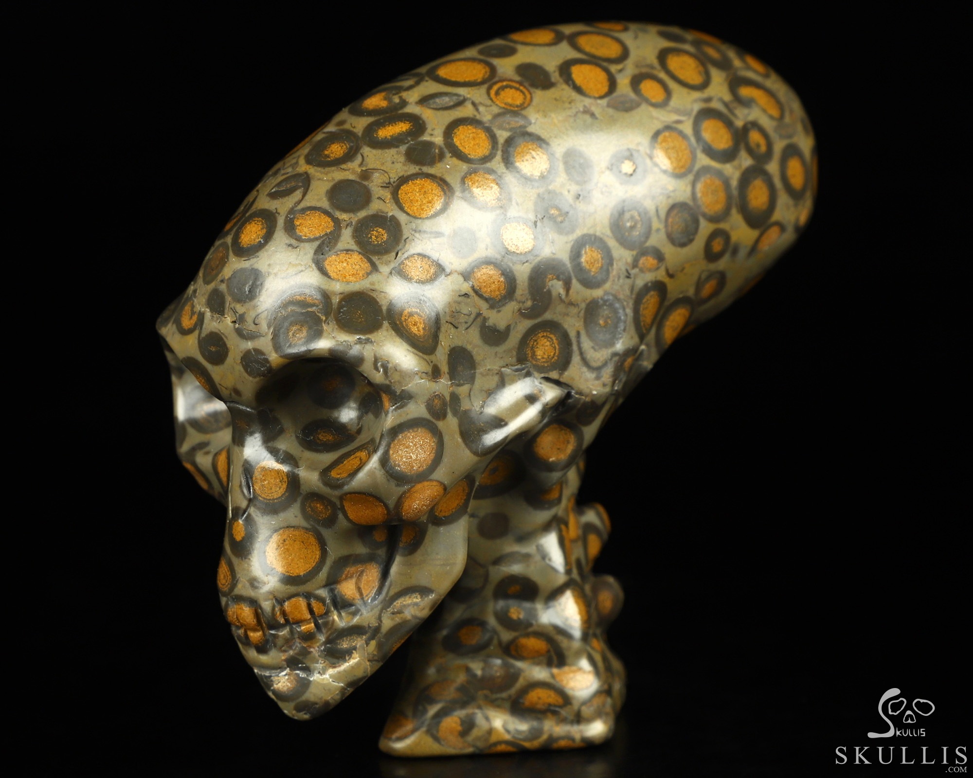 3.3" Chinese Leopard Skin Jasper Hand Carved Crystal Elongated Mayan Alien Skull with Spine Sculpture, Crystal Healing 3.3" Chinese Leopard Skin Jasper Hand Carved Crystal Elongated Mayan Alien Skull with Spine Sculpture, Crystal Healing